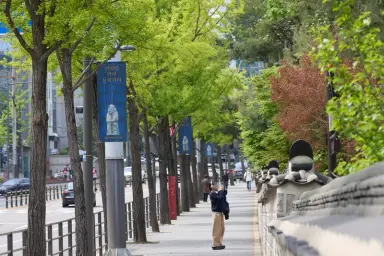 선정릉의 역사를 거리로…강남구, 대한민국 공공디자인대상서 원장상 수상